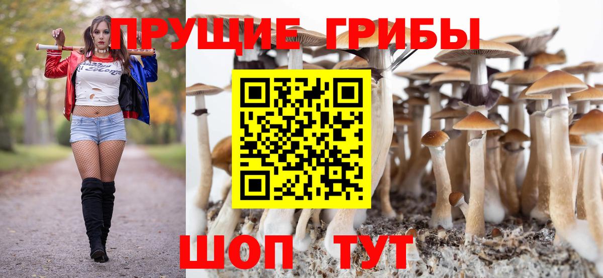 Новороссийск  Псилоцибиновые грибы Psilocybe  Вход с VPN 