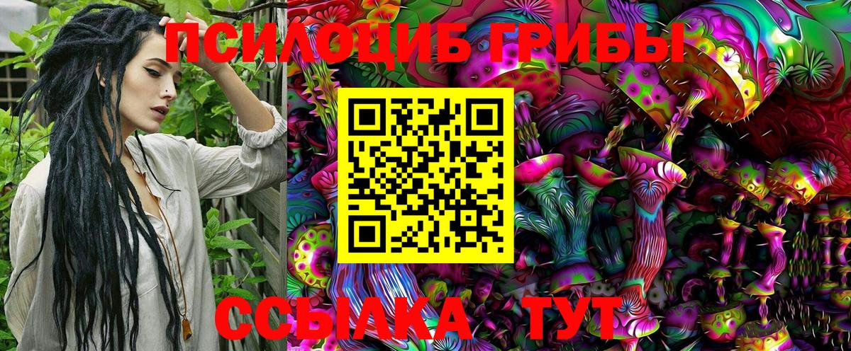 Псилоцибиновые грибы Cubensis Новороссийск